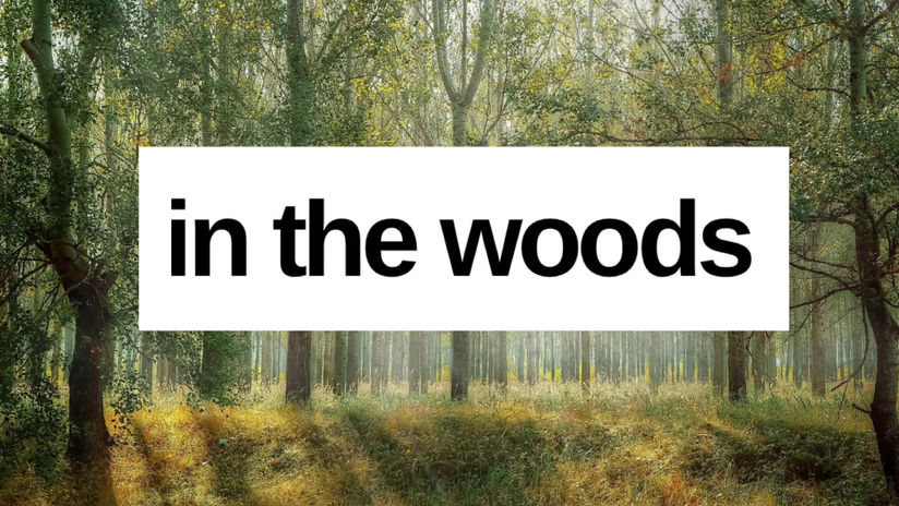 IN THE WOODS
